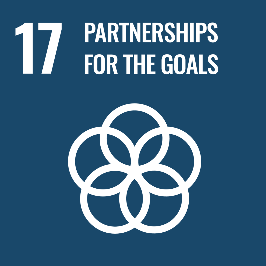 SDG 17 - Partnerships for goals
