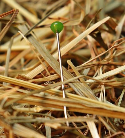 Fine-Biofuels - Needle in the haystack