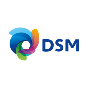 Partner logo - DSM