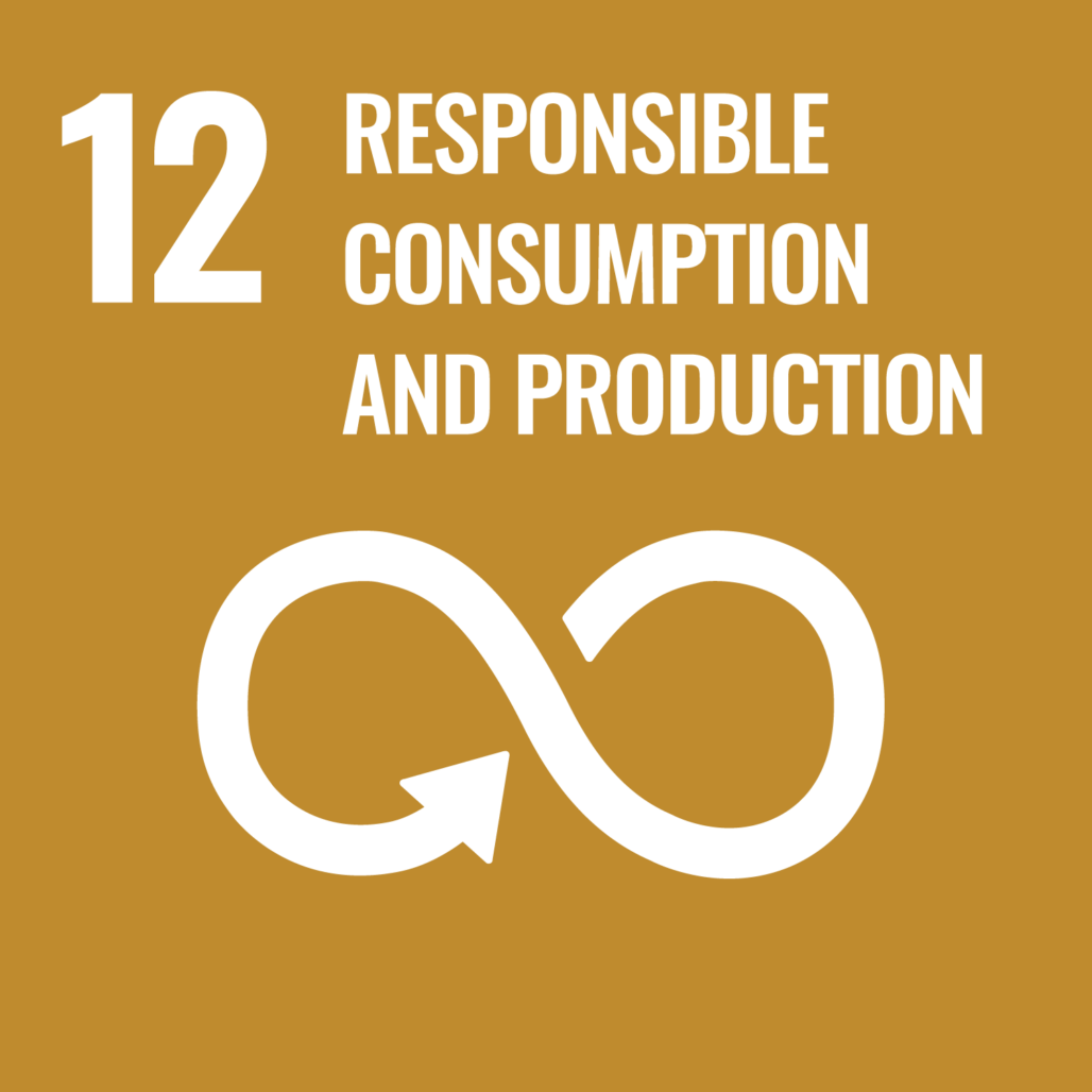 SDG 12 - Responsible consumption and production (Fascinating)