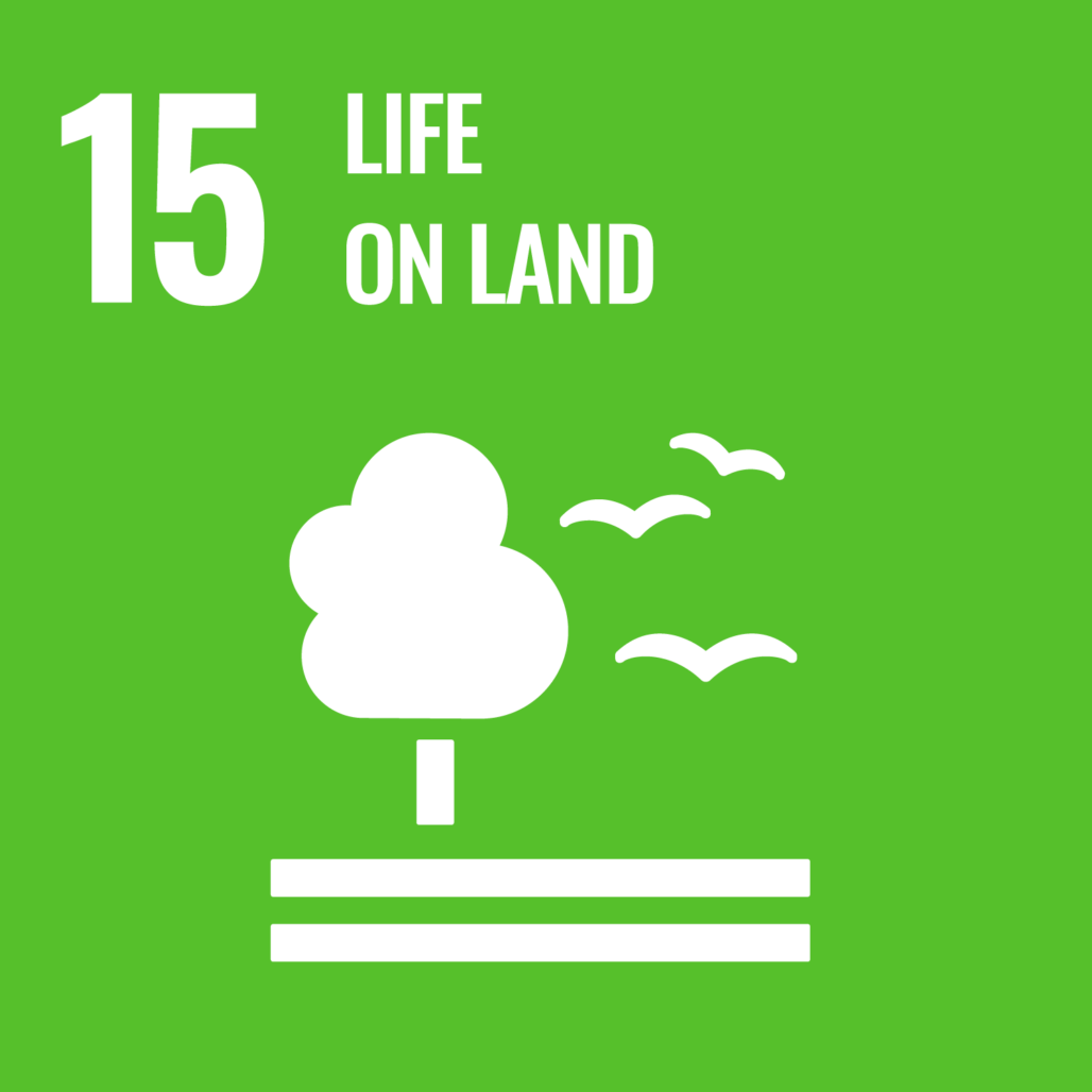 SDG 15 Life on Land (Fascinating)