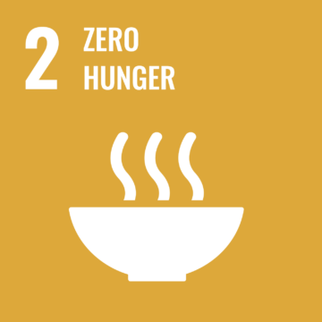 SDG 2 Zero Hunger (Fascinating)