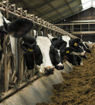 Minder mest uitrijden? Organiseer de verwerking regionaal