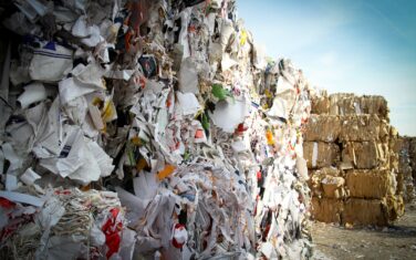 PRIDES: the next step in sustainable paper pulping