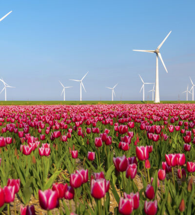 De energietransitie in Nederland