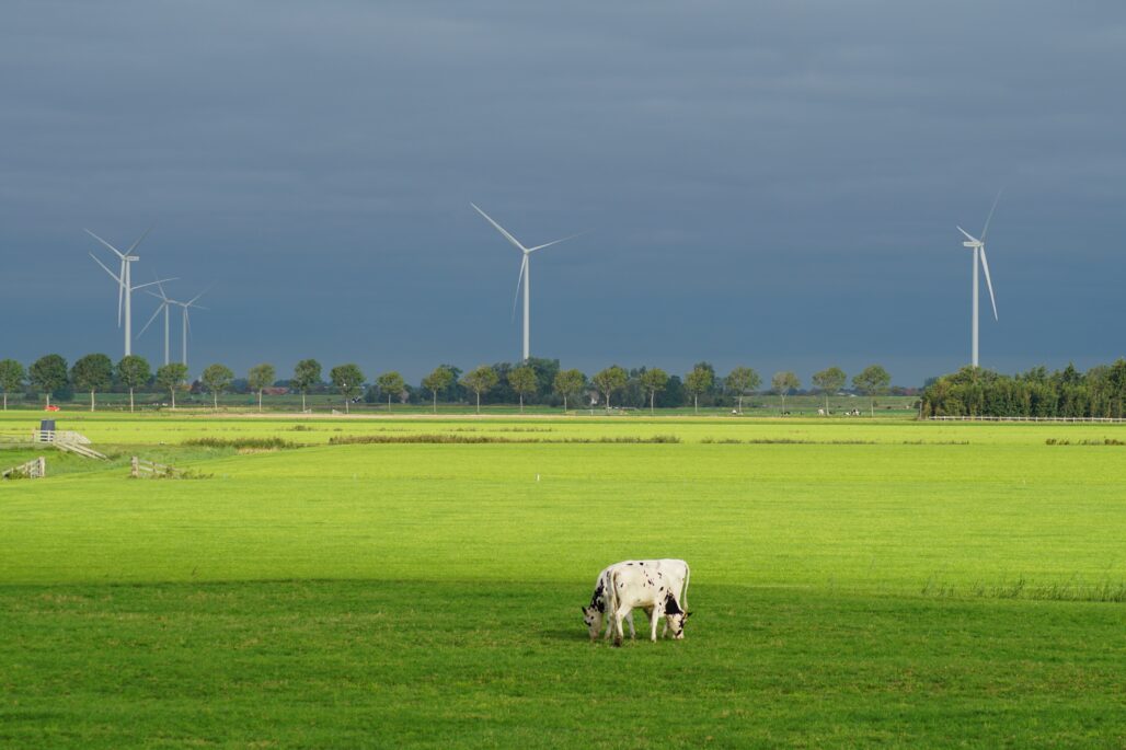 Green Industry- Landscape wind turbine